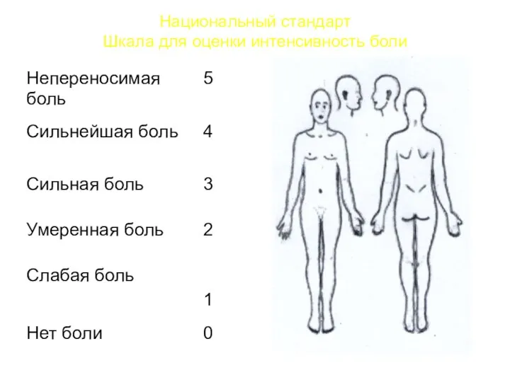 Национальный стандарт Шкала для оценки интенсивность боли