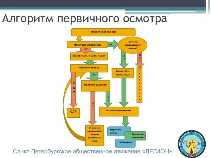 Алгоритм первичного осмотра Санкт-Петербургское общественное движение «ЛЕГИОН»