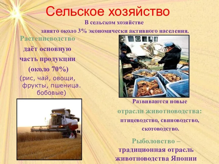 Сельское хозяйство Растениеводство даёт основную часть продукции (около 70%) (рис, чай,