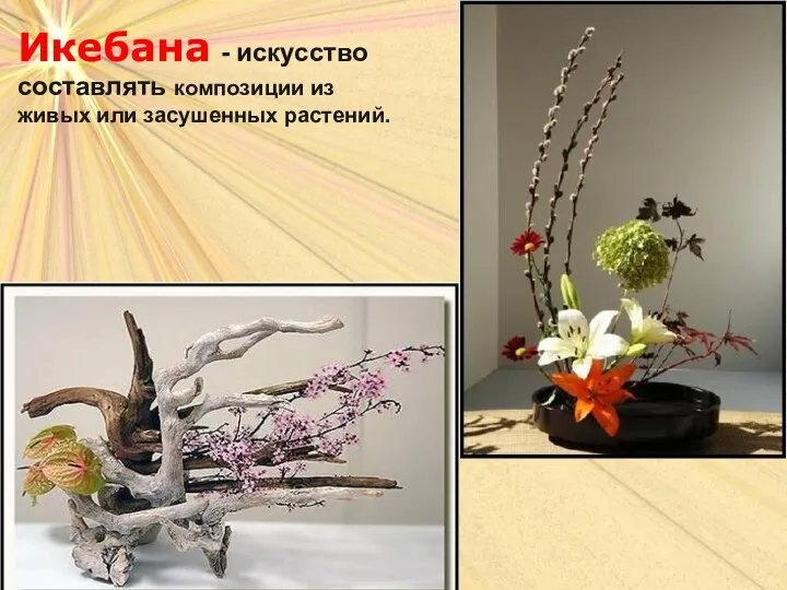 Икебана - искусство составлять композиции из живых или засушенных растений.