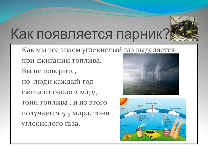 Как появляется парник? Как мы все знаем углекислый газ выделяется при