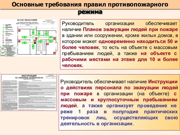 Основные требования правил противопожарного режима Руководитель организации обеспечивает наличие Планов эвакуации