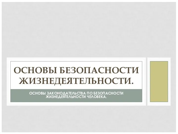 ОСНОВЫ ЗАКОНОДАТЕЛЬСТВА ПО БЕЗОПАСНОСТИ ЖИЗНЕДЕЯТЕЛЬНОСТИ ЧЕЛОВЕКА. ОСНОВЫ БЕЗОПАСНОСТИ ЖИЗНЕДЕЯТЕЛЬНОСТИ.