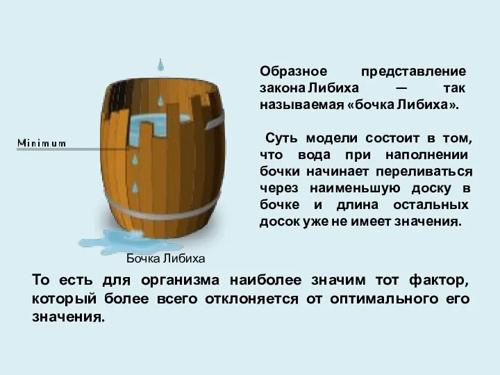 Бочка Либиха Образное представление закона Либиха — так называемая «бочка Либиха».