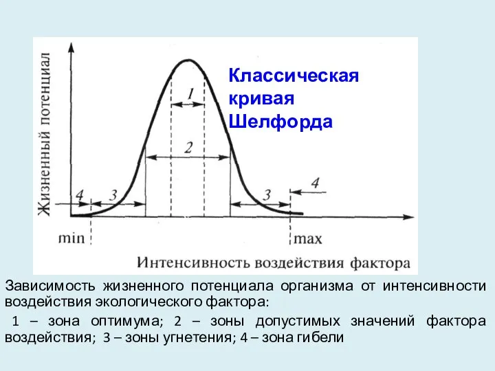 Зависимость жизненного потенциала организма от интенсивности воздействия экологического фактора: 1 –