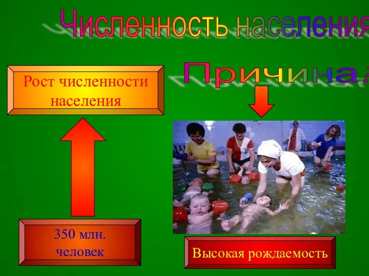 Численность населения 350 млн. человек Рост численности населения Причина? Высокая рождаемость