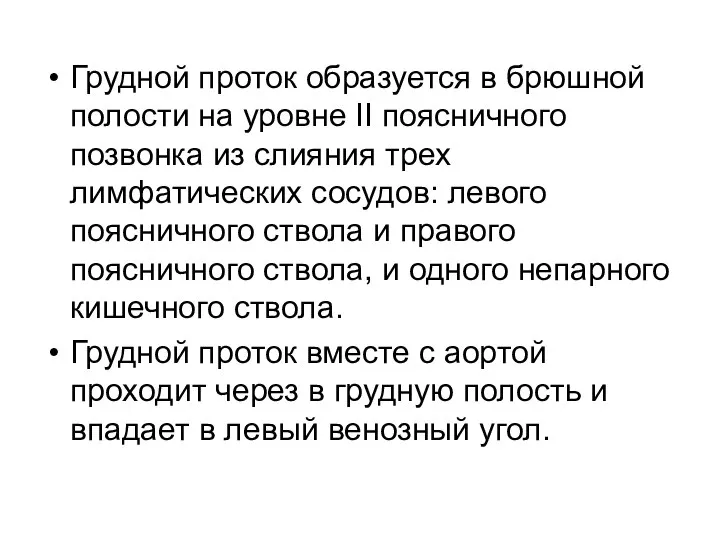 Грудной проток образуется в брюшной полости на уровне II поясничного позвонка