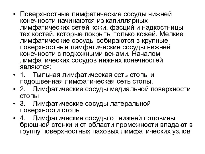 Поверхностные лимфатические сосуды нижней конечности начинаются из капиллярных лимфатических сетей кожи,