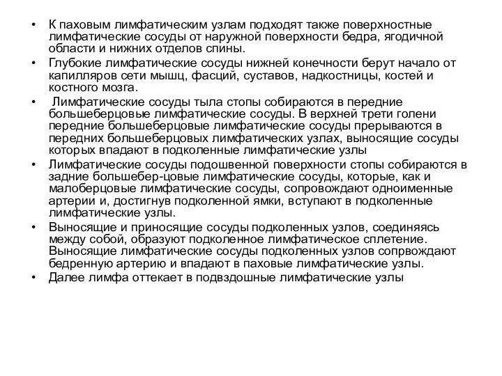 К паховым лимфатическим узлам подходят также поверхностные лимфатические сосуды от наружной