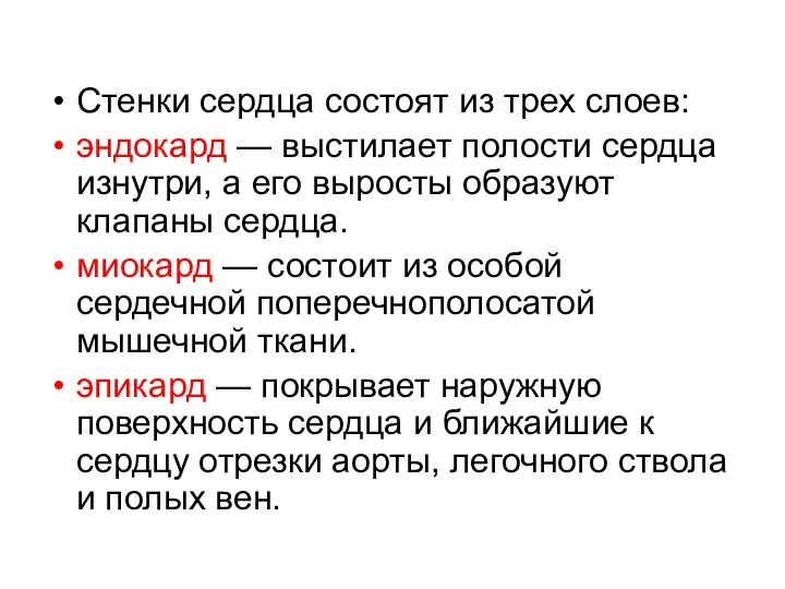 Стенки сердца состоят из трех слоев: эндокард — выстилает полости сердца