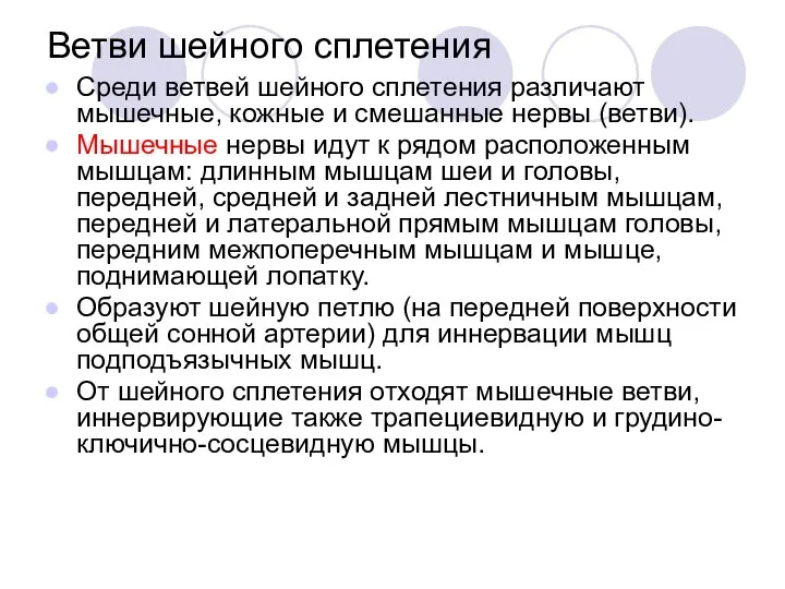 Ветви шейного сплетения Среди ветвей шейного сплетения различают мышечные, кожные и