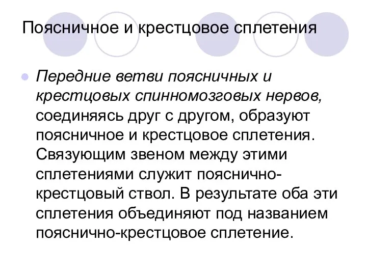 Поясничное и крестцовое сплетения Передние ветви поясничных и крестцовых спинномозговых нервов,