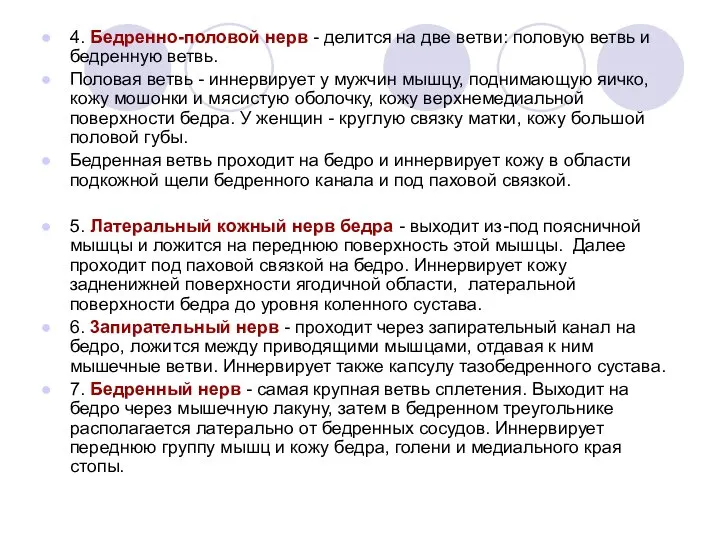 4. Бедренно-половой нерв - делится на две ветви: половую ветвь и