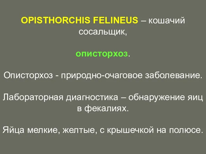 OPISTHORCHIS FELINEUS – кошачий сосальщик, описторхоз. Описторхоз - природно-очаговое заболевание. Лабораторная