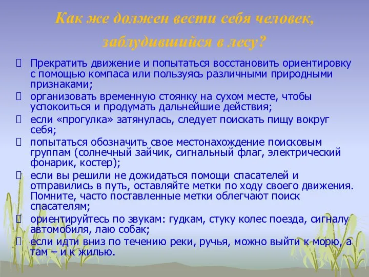 Как же должен вести себя человек, заблудившийся в лесу? Прекратить движение