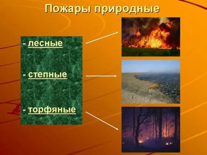 ЧРЕЗВЫЧАЙНЫЕ СИТУАЦИИ ПРИРОДНОГО ХАРАКТЕРА природные пожары