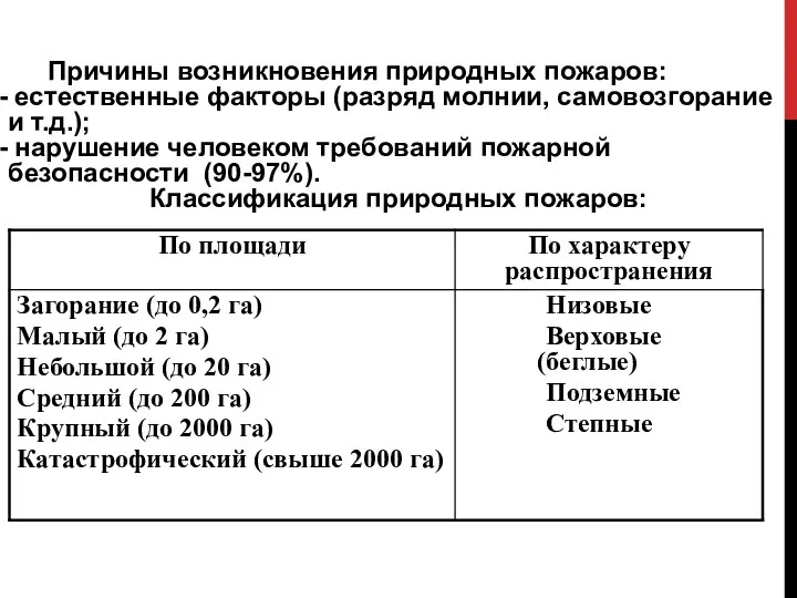 Причины возникновения природных пожаров: естественные факторы (разряд молнии, самовозгорание и т.д.);