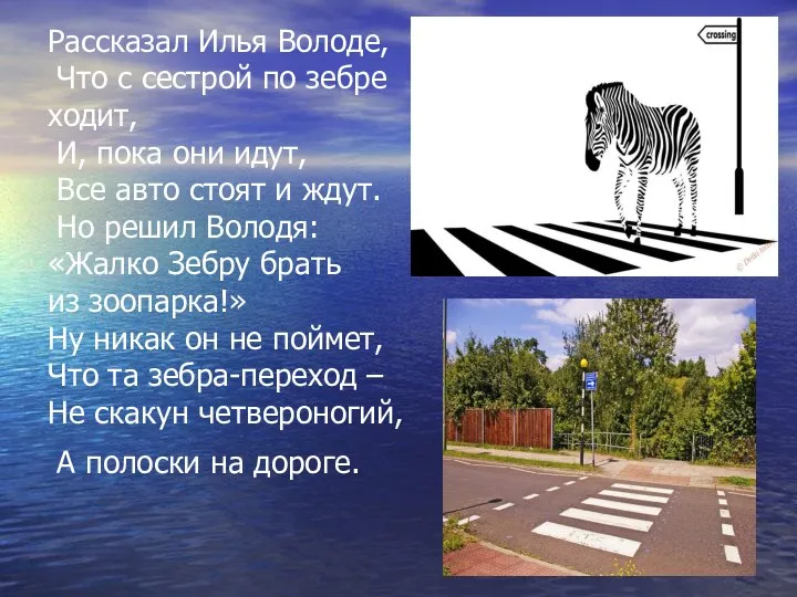 Рассказал Илья Володе, Что с сестрой по зебре ходит, И, пока