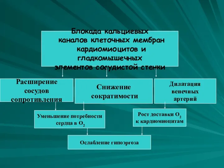 Блокада кальциевых каналов клеточных мембран кардиомиоцитов и гладкомышечных элементов сосудистой стенки