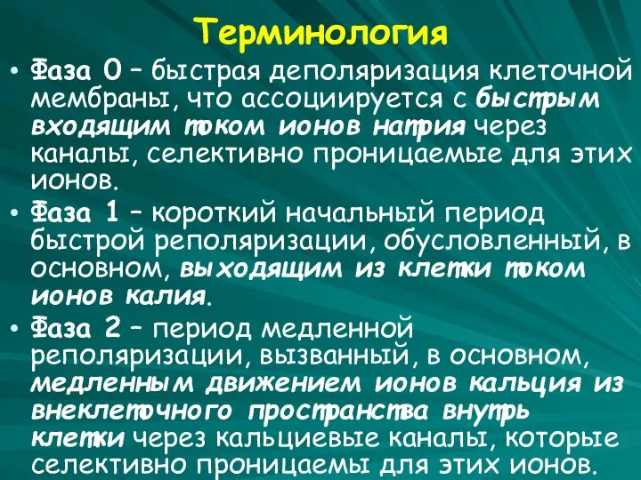 Терминология Фаза 0 – быстрая деполяризация клеточной мембраны, что ассоциируется с