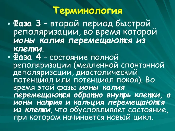 Терминология Фаза 3 – второй период быстрой реполяризации, во время которой