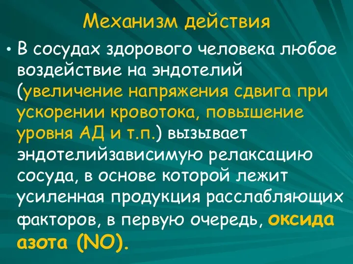 Механизм действия В сосудах здорового человека любое воздействие на эндотелий (увеличение