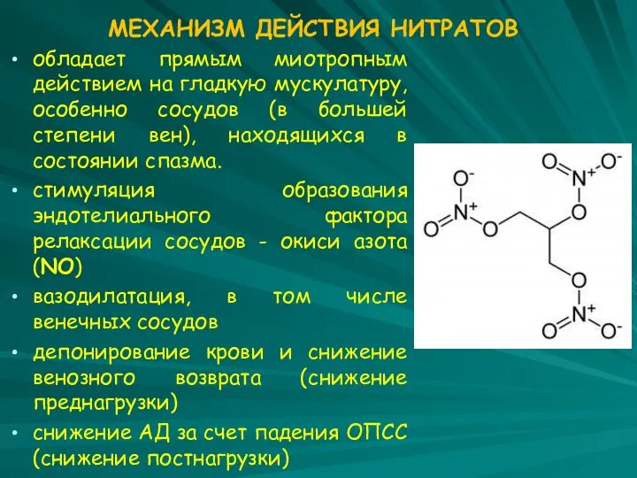 МЕХАНИЗМ ДЕЙСТВИЯ НИТРАТОВ обладает прямым миотропным действием на гладкую мускулатуру, особенно