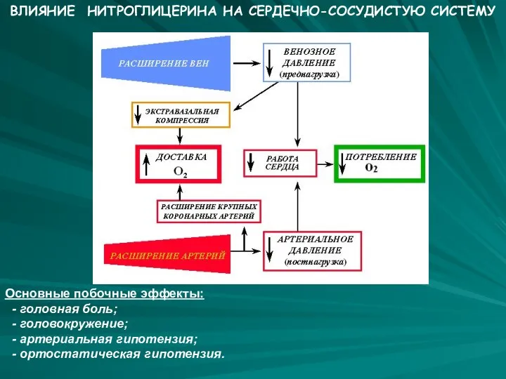 ВЛИЯНИЕ НИТРОГЛИЦЕРИНА НА СЕРДЕЧНО-СОСУДИСТУЮ СИСТЕМУ Основные побочные эффекты: - головная боль;