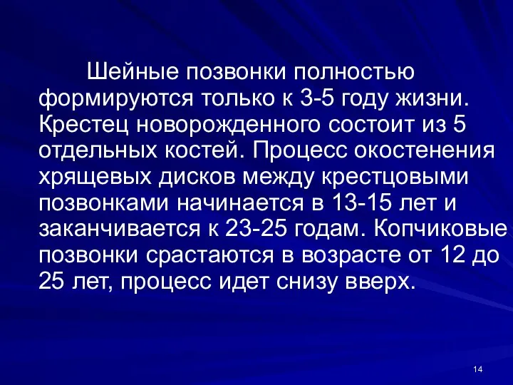 Шейные позвонки полностью формируются только к 3-5 году жизни. Крестец новорожденного