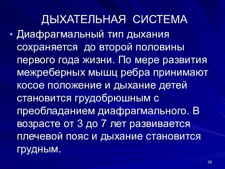 ДЫХАТЕЛЬНАЯ СИСТЕМА Диафрагмальный тип дыхания сохраняется до второй половины первого года