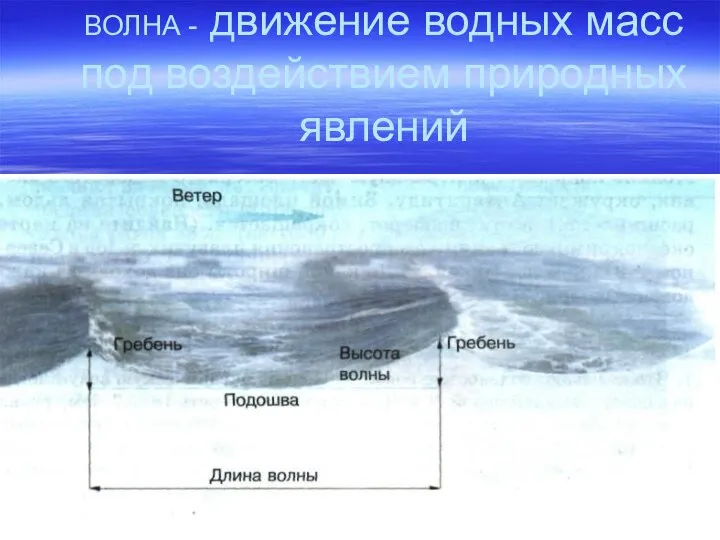 ВОЛНА - движение водных масс под воздействием природных явлений