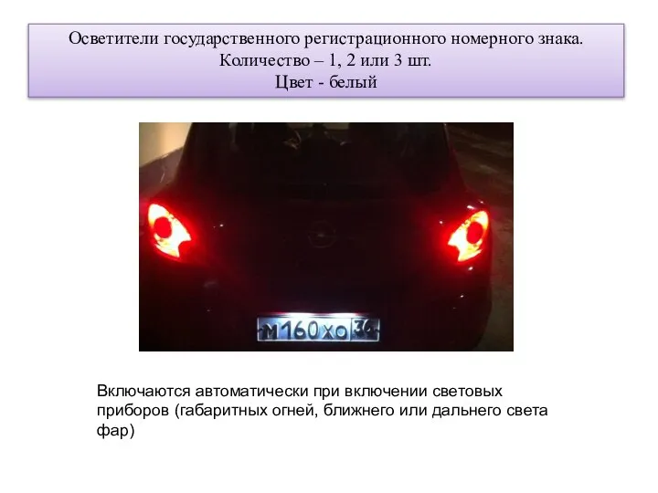 Осветители государственного регистрационного номерного знака. Количество – 1, 2 или 3