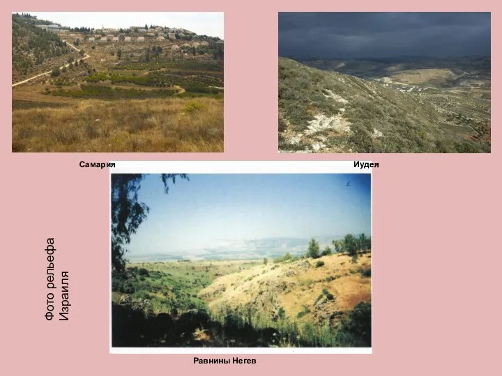 Самария Иудея Равнины Негев Фото рельефа Израиля