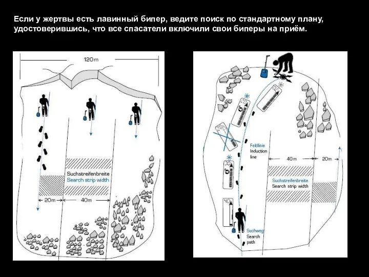 Если у жертвы есть лавинный бипер, ведите поиск по стандартному плану,
