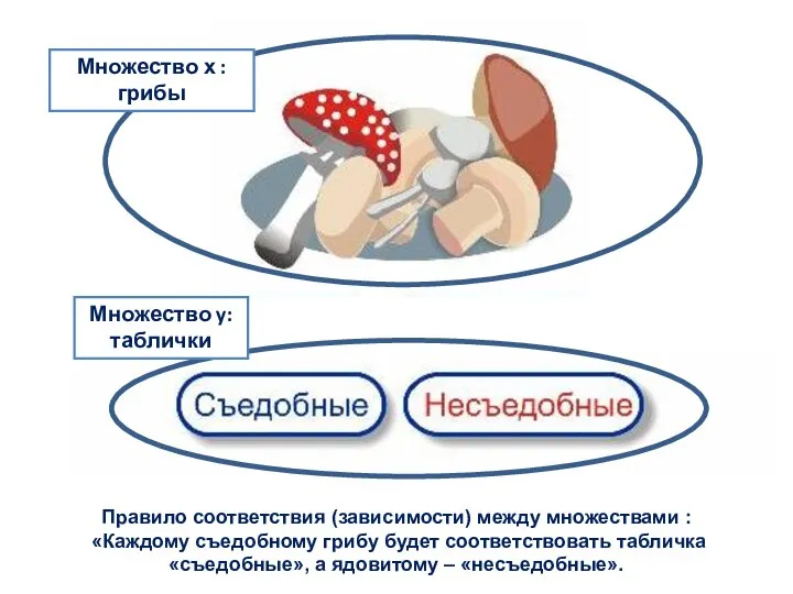 Правило соответствия (зависимости) между множествами : «Каждому съедобному грибу будет соответствовать