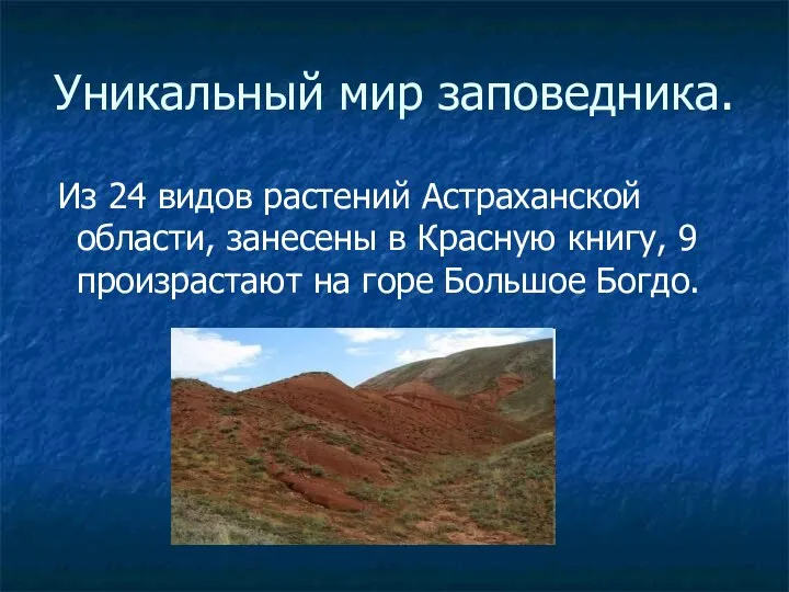 Уникальный мир заповедника. Из 24 видов растений Астраханской области, занесены в