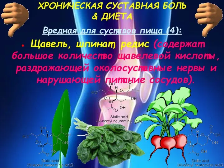 ХРОНИЧЕСКАЯ СУСТАВНАЯ БОЛЬ & ДИЕТА Вредная для суставов пища (4): Щавель,