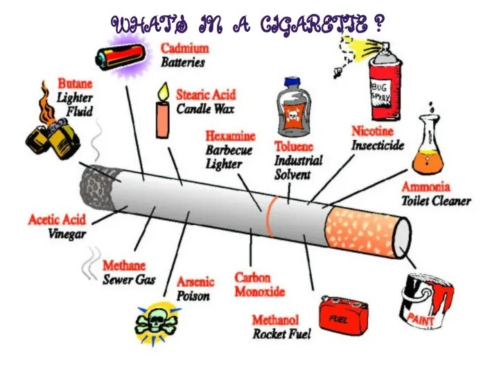 WHAT'S IN A CIGARETTE ?