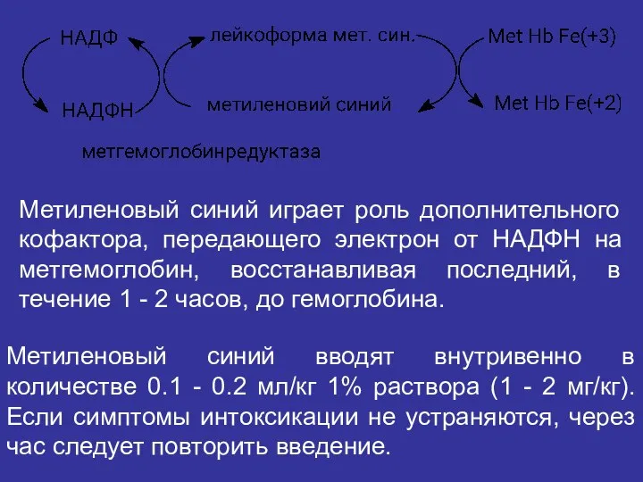 Метиленовый синий играет роль дополнительного кофактора, передающего электрон от НАДФН на