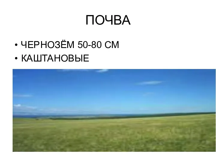 ПОЧВА ЧЕРНОЗЁМ 50-80 СМ КАШТАНОВЫЕ