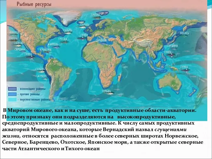 В Мировом океане, как и на суше, есть продуктивные области-акватории. По