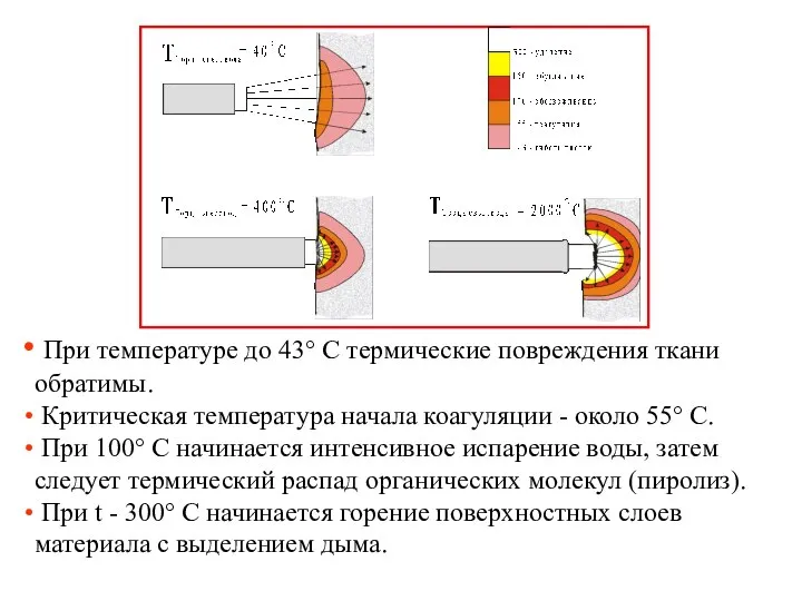 При температуре до 43° С термические повреждения ткани обратимы. Критическая температура