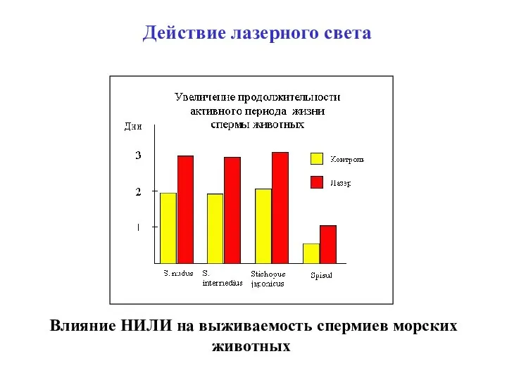 Действие лазерного света Влияние НИЛИ на выживаемость спермиев морских животных