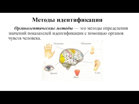 Методы идентификации Органолептические методы — это методы определе­ния значений показателей идентификации с помощью органов чувств человека.