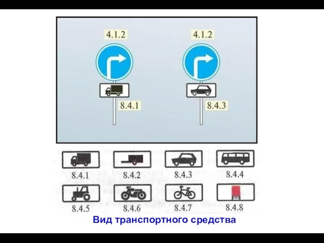 Вид транспортного средства