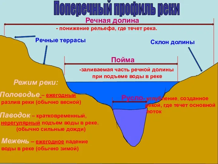 Русло Пойма Поперечный профиль реки Речная долина Речные террасы Склон долины