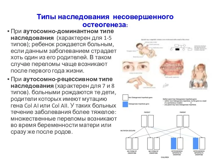 Типы наследования несовершенного остеогенеза: При аутосомно-доминантном типе наследования (характерен для 1-5