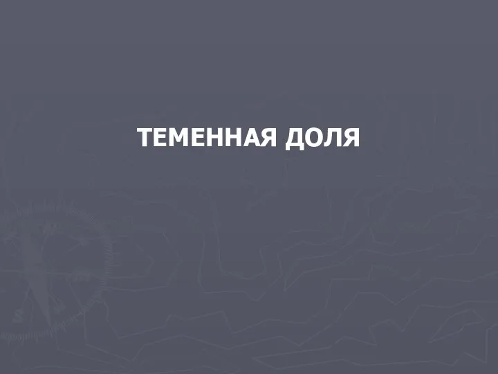 ТЕМЕННАЯ ДОЛЯ