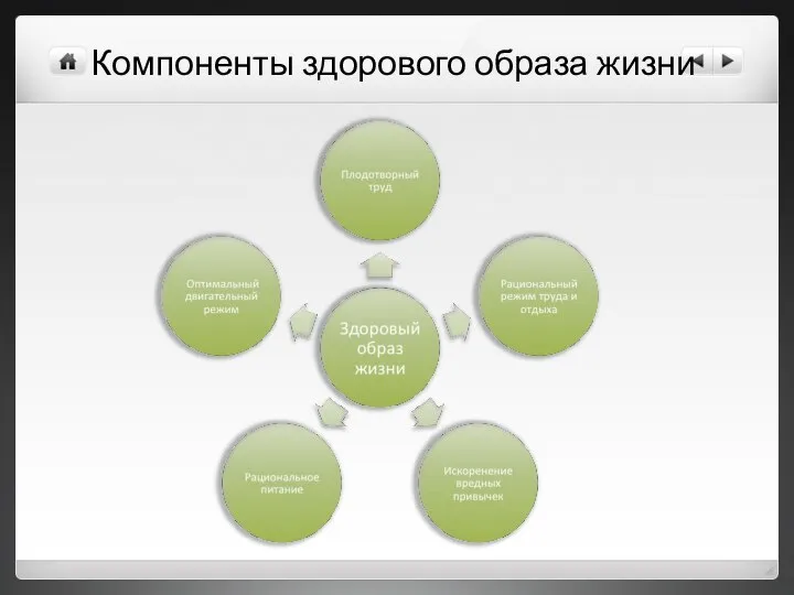 Компоненты здорового образа жизни