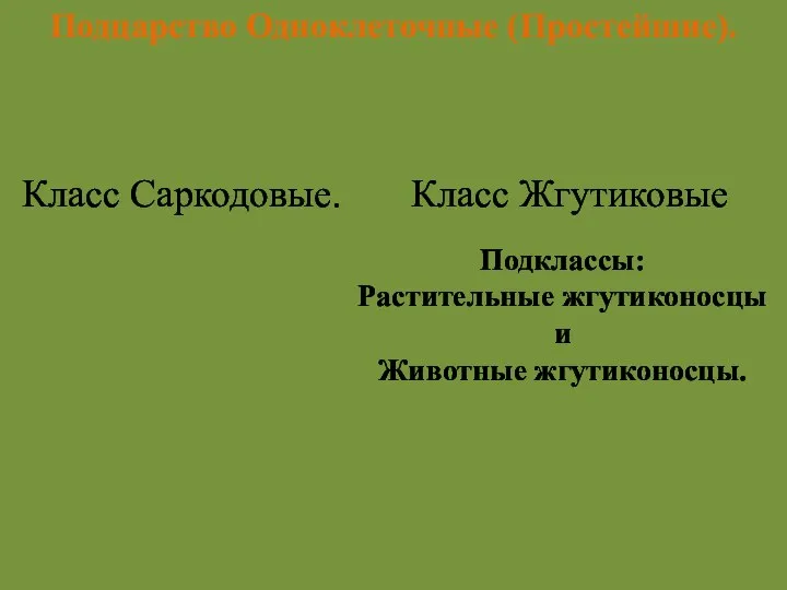 Подцарство Одноклеточные (Простейшие). Тип Саркомастигофоры (Sarcomastogophora) Подклассы: Растительные жгутиконосцы и Животные